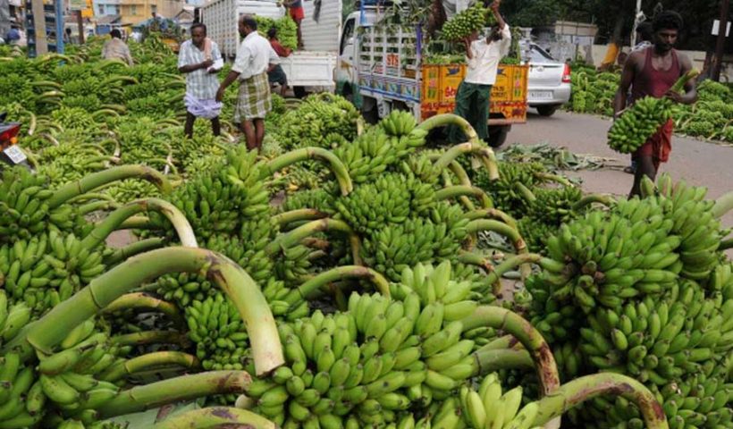 farmers corona effect